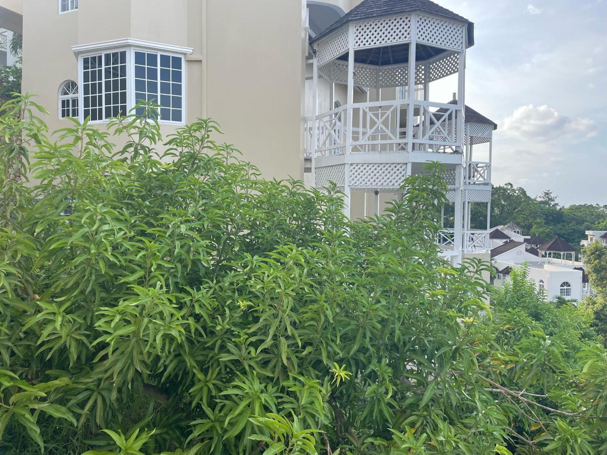 אוצ'ו ריוס Oceanbreeze Jamaica Penthouse, 7-Minute Walk To Beach מראה חיצוני תמונה