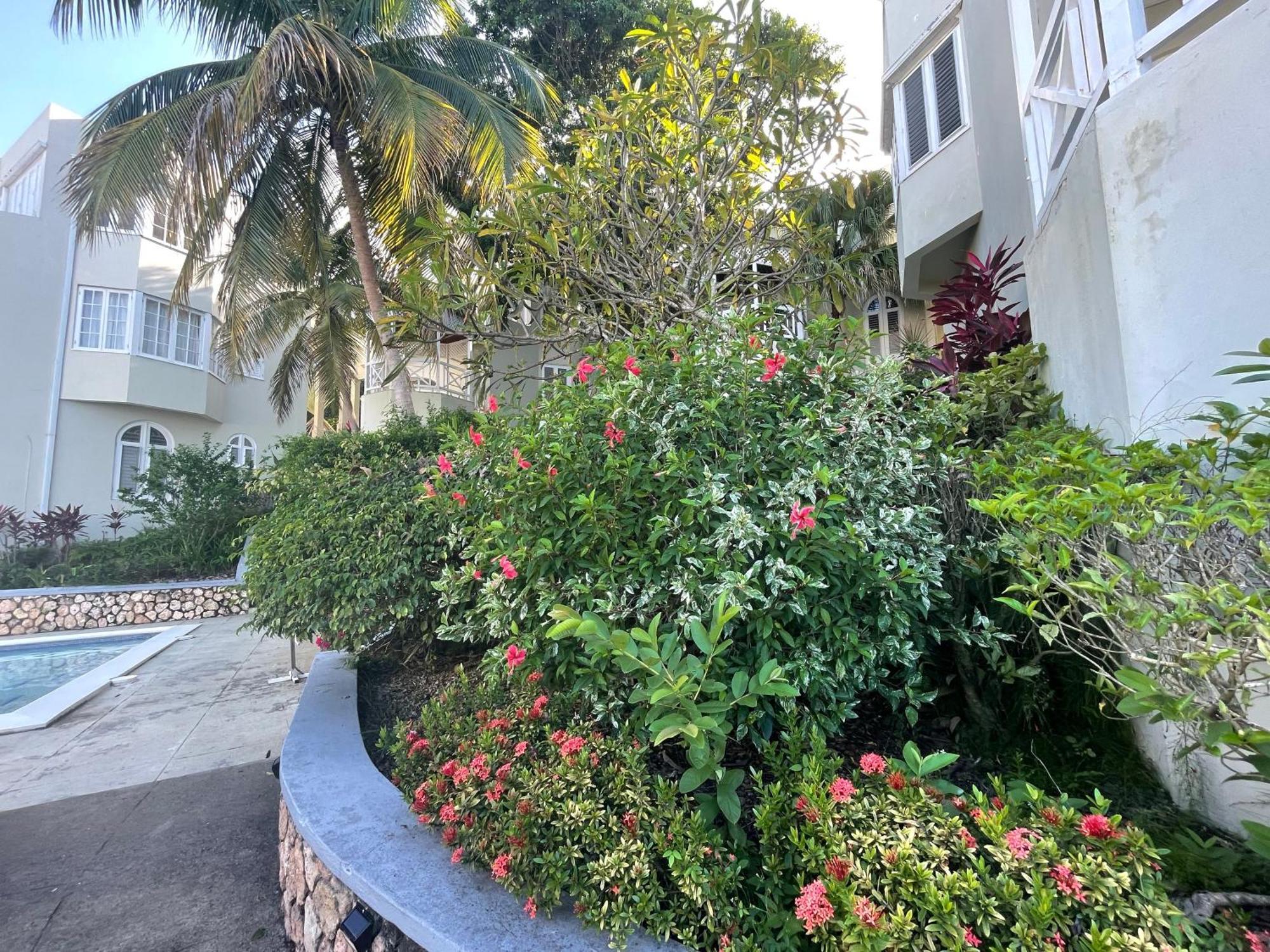 אוצ'ו ריוס Oceanbreeze Jamaica Penthouse, 7-Minute Walk To Beach מראה חיצוני תמונה